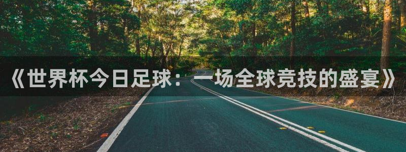 世界杯欧洲区预选赛赛程：《世界杯今日足球：一场全球竞技的盛宴》