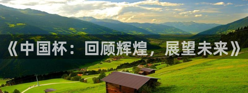 世界杯系列赛：《中国杯：回顾辉煌，展望未来》