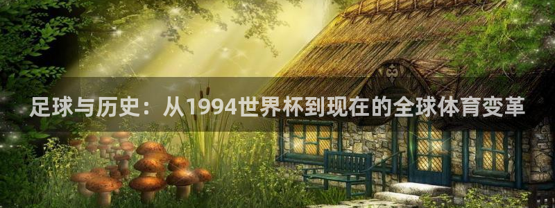 世界杯：足球与历史：从1994世界杯到现在的全球体育变革
