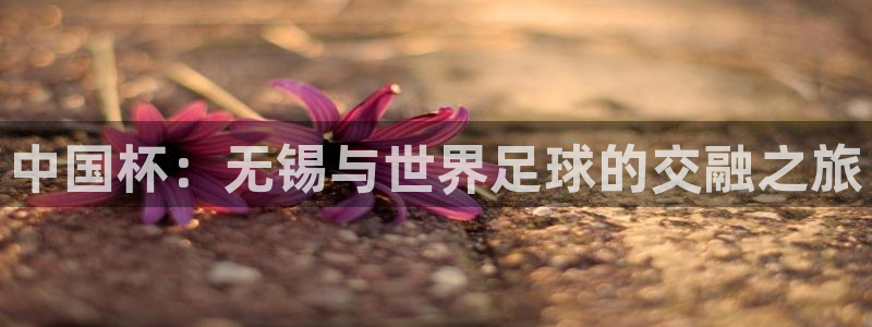 世界杯决赛预测：中国杯：无锡与世界足球的交融之旅