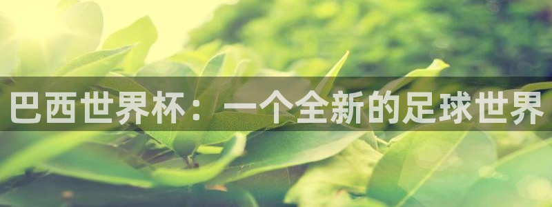 世界杯亚洲区预选赛：巴西世界杯：一个全新的足球世界