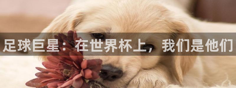 世界杯直播观看：足球巨星：在世界杯上，我们是他们