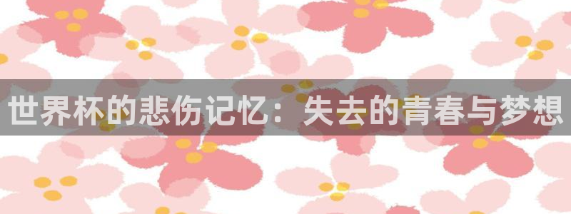 世界杯足球2026：世界杯的悲伤记忆：失去的青春与梦想